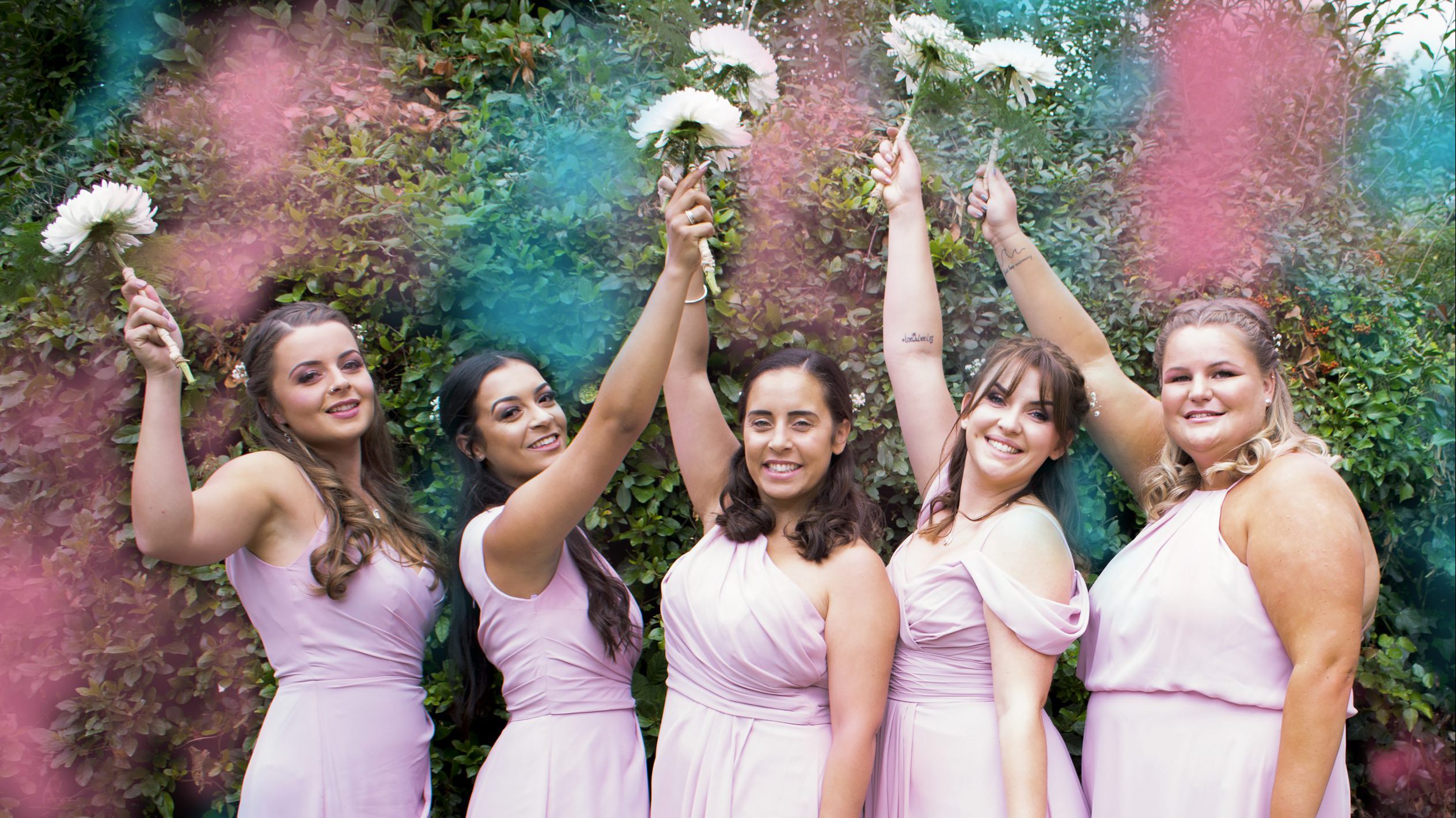 Read more about the article Ferns Photography
