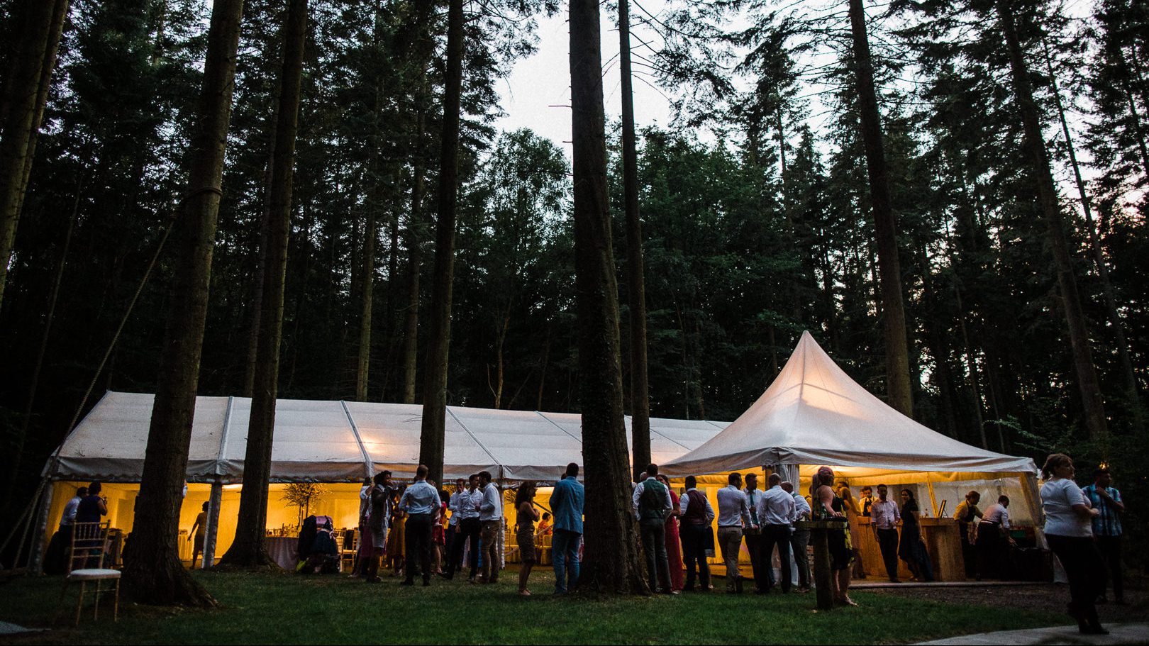 Read more about the article Longton Wood
