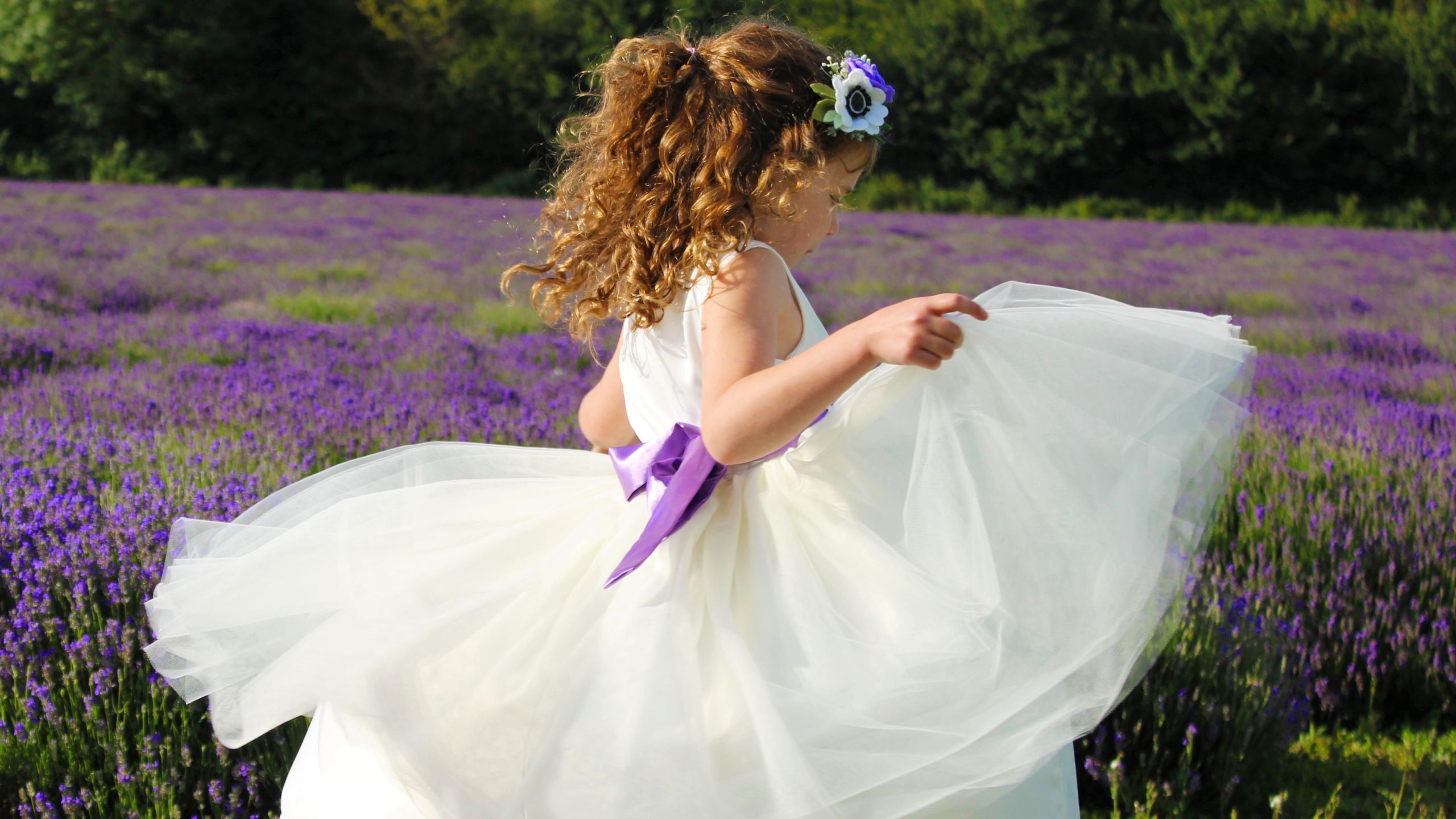 Read more about the article Violet and Bean