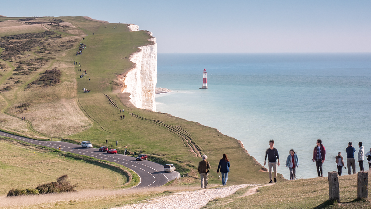 Read more about the article South Downs Discovery