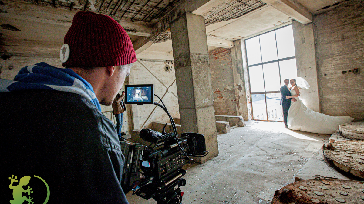 Read more about the article Gecko Films