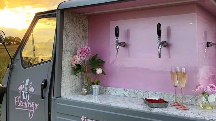 Read more about the article Fizzy Flamingo