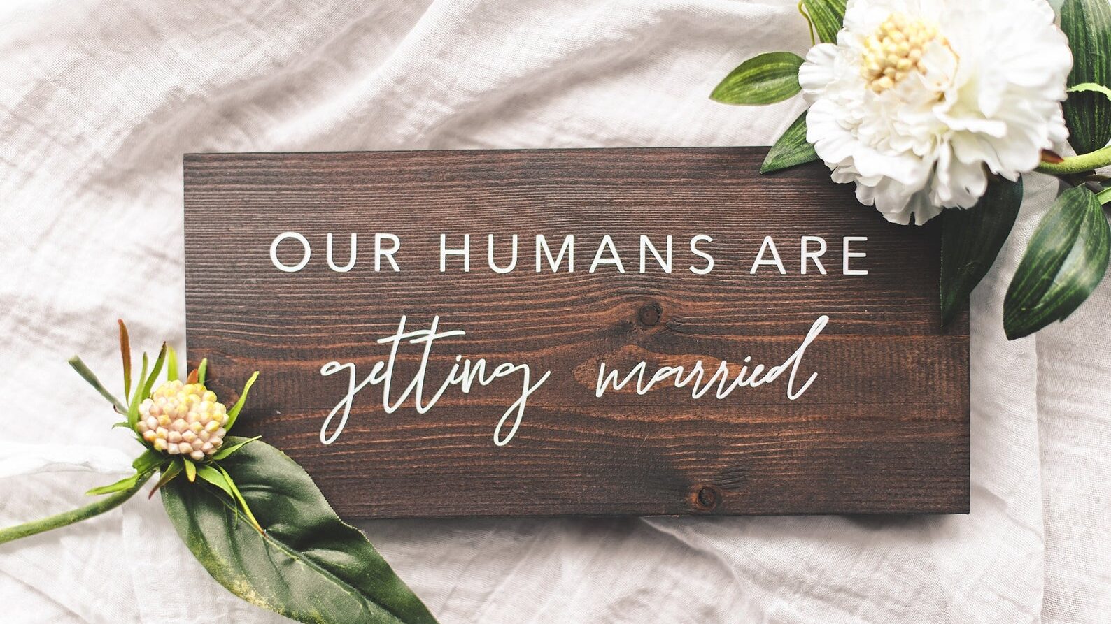 Read more about the article Why have a pet chaperone at your wedding?