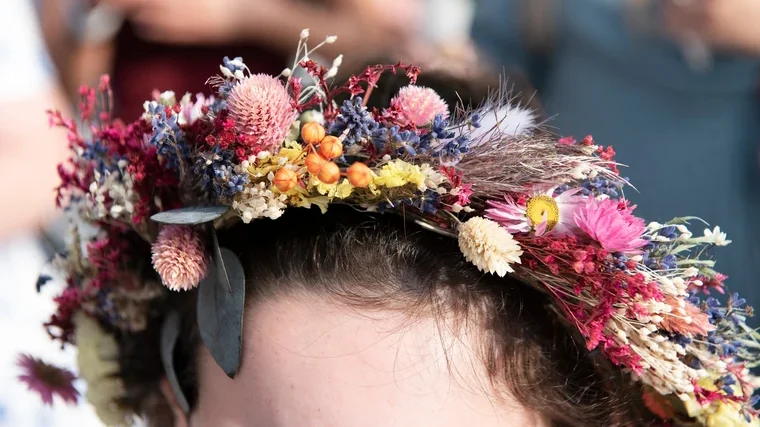 Read more about the article Little Birds Dried Flowers