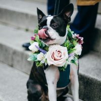 EvieRoseBridal