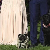 Furrytail Weddings