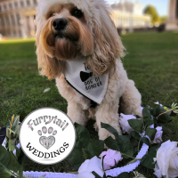 Furrytail Weddings