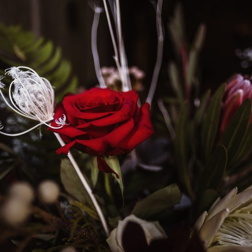 Game of Thrones Styled Shoot