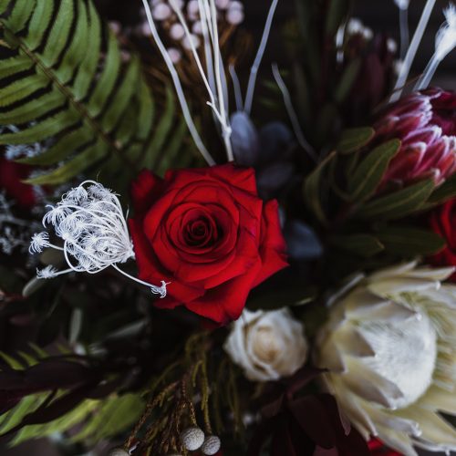 Game of Thrones Styled Shoot