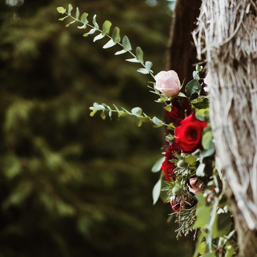 Game of Thrones Styled Shoot