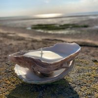 Oyster Shell Candle