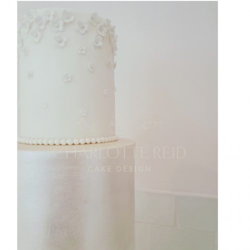 Photo-3