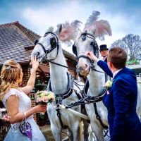 White Horse Farm Carriages 3
