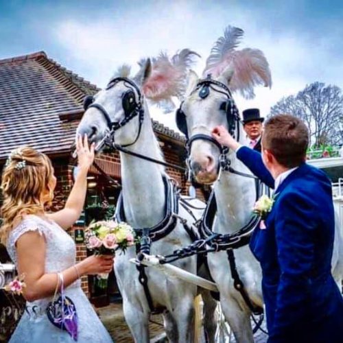 White Horse Farm Carriages 3