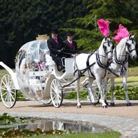 White Horse Farm Carriages Pumpkin2