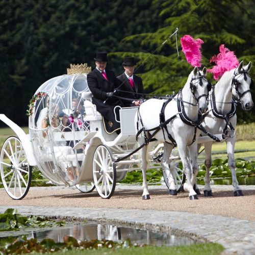 White Horse Farm Carriages Pumpkin2