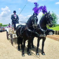 White Horse Farm Carriages