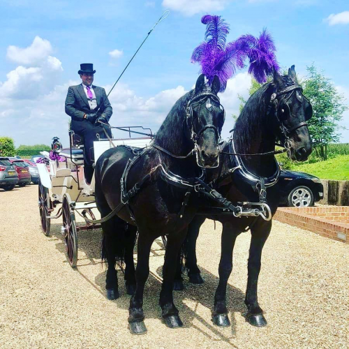 White Horse Farm Carriages