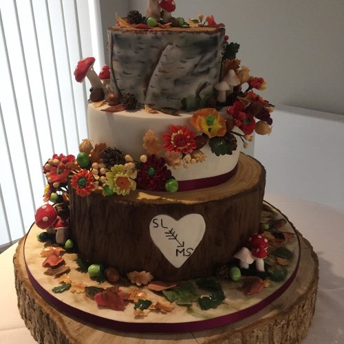 iced-images-cakes-117