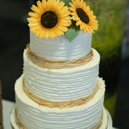 iced-images-cakes-46