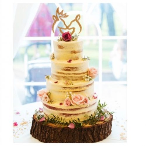iced-images-cakes-84